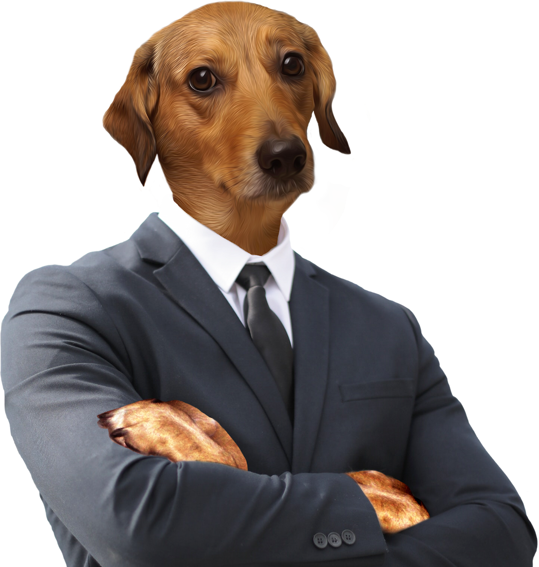 Business Doggo