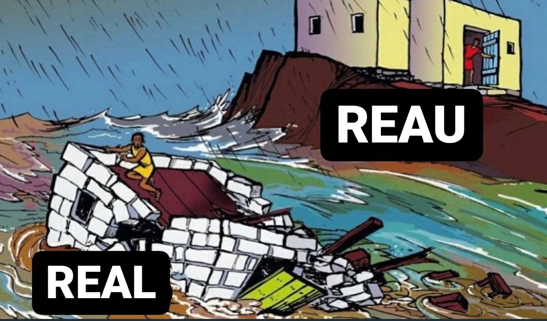 meme $REAU